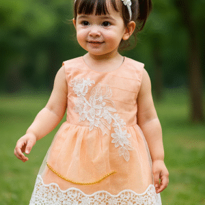 Elegant Chiffon Frock